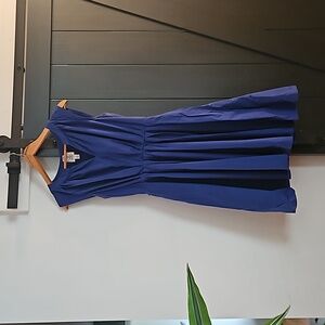 Vintage Royal Blue Sleeveless Dress